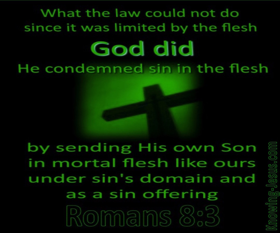 Romans 8:3 He Comdemned Sin In The Flesh (green)